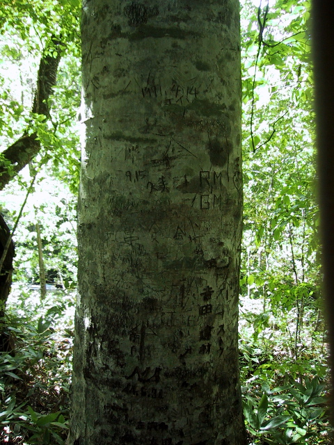 030914_03.jpg
