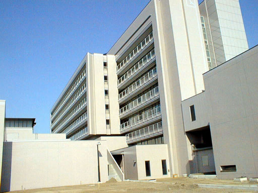 simin01.jpg