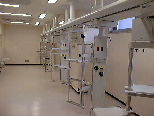 simin27.jpg