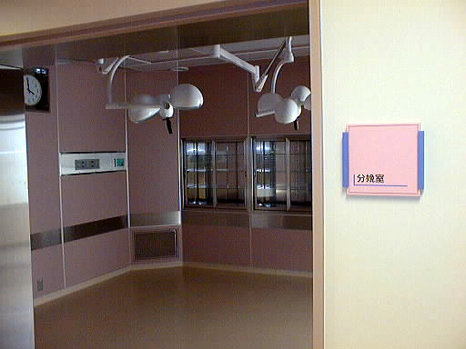 simin28.jpg