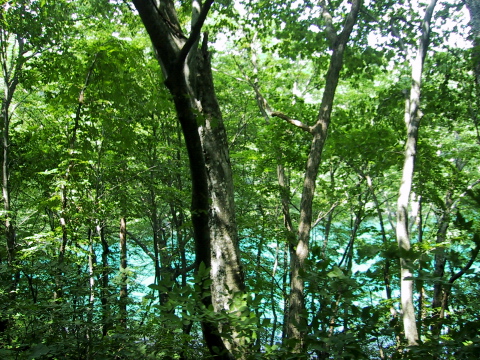 2004_4.jpg